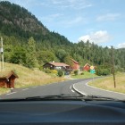 2013-08-21-12-13-38-dsc_1515